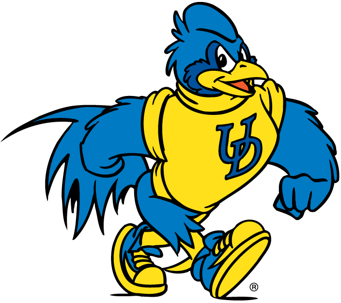 Delaware Blue Hens 1999-Pres Mascot Logo 01 iron on paper